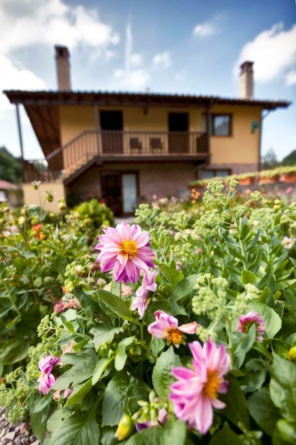 Apartamentos Rio Tabardin Llano-Con Bagian luar foto